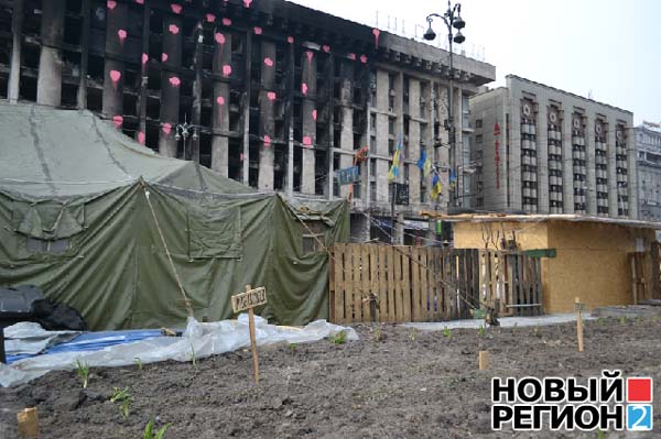 На Майдане Независимости в Киеве развели настоящий свинарник - Малоросинформ - Малорос.Ру - Малороссия