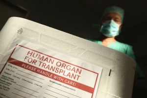 Дети под разделку: чёрная трансплантология как источник обогащения хунты